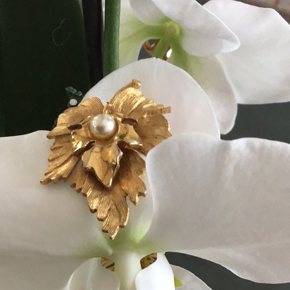 Brooch - Picture 3 of 7